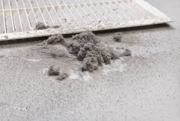 Best Affordable Air Duct Cleaning  in Blue Jay, OH
