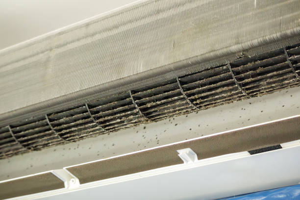 Best Commercial HVAC Duct Cleaning  in Blue Jay, OH